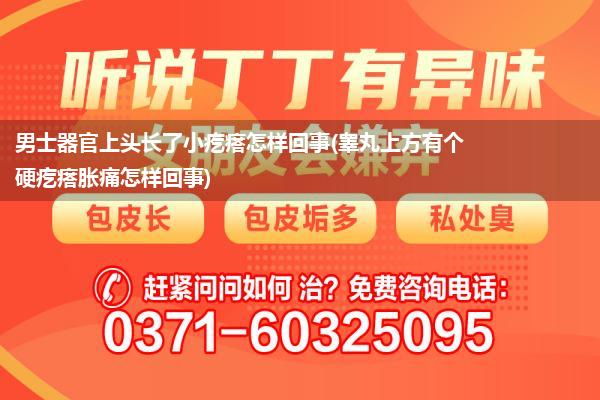 男士器官上头长了小疙瘩怎样回事(睾丸上方有个硬疙瘩胀痛怎样回事)